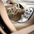 image bugatti-veyron-001-10.jpg