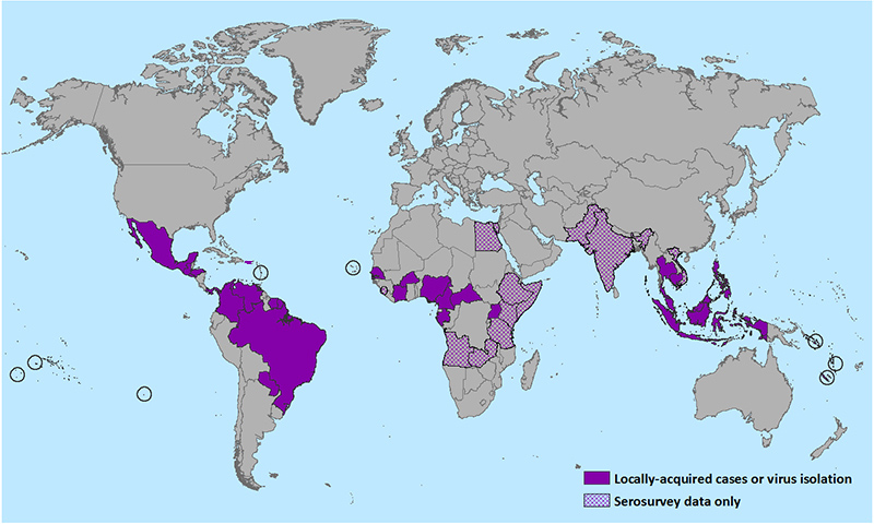 New Evidence Suggests Link Between Mosquito-Borne Virus and Birth Defects