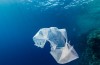 Vi Tømme Havet for Fisk og Fylle Dem Med Plast