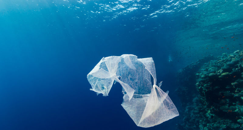 We're Emptying the Oceans of Fish and Filling Them With Plastic 