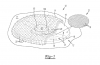 The Next Generation of Space Rovers Could Be Squishy Blobs With Bladders