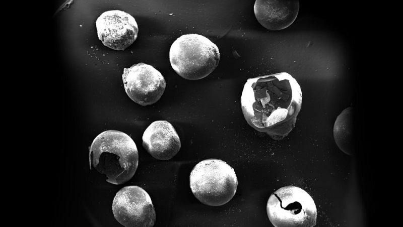 These Sugar-Based Anti-Reflective Fake Moth Eyeballs Are Not for Eating