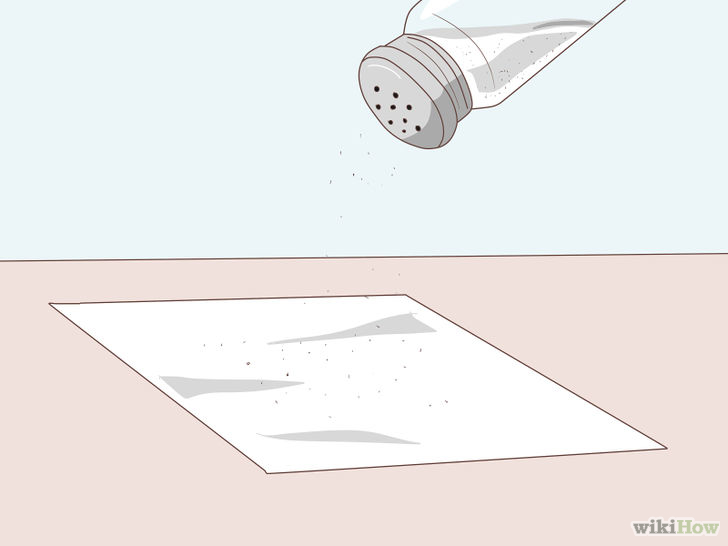Image titled Appear to Save a Fly From Drowning Step 1