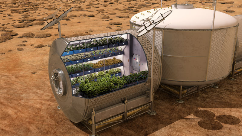The First Space Flower Bloomed Decades Ago, Not This Week