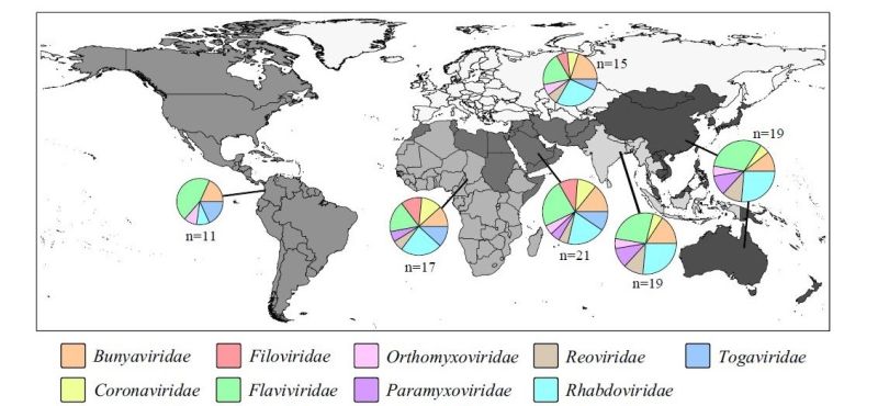 New Maps Identify Possible Hot Spots for Bat-Transmitted Diseases