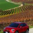 image Fiat-500X-Cross-058.jpg