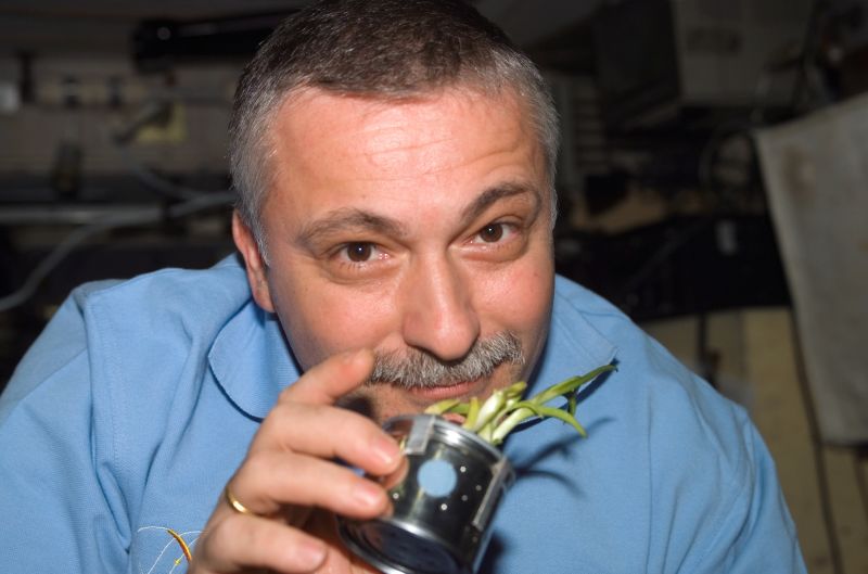 The First Space Flower Bloomed Decades Ago, Not This Week