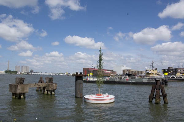 A Floating Forest Will Add Instant Greenery to Rotterdam's Harbor