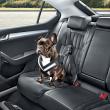 image Skoda-dierenaccesoires-003.jpg