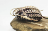 Ces Imprimés en 3D Trilobites Sont Absolument Superbes