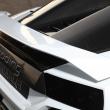 image roding-roadster-r1-00016.jpg
