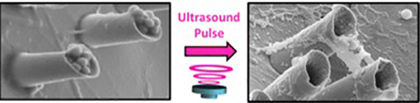 Scientists Build Tiny Microcannons That Fire Drug-Filled Nanobullets