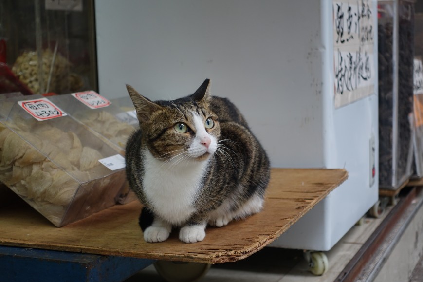 Sony Cyber-shot RX100 IV, ISO 200, 25,7 мм, F2.8, 1/80 c
