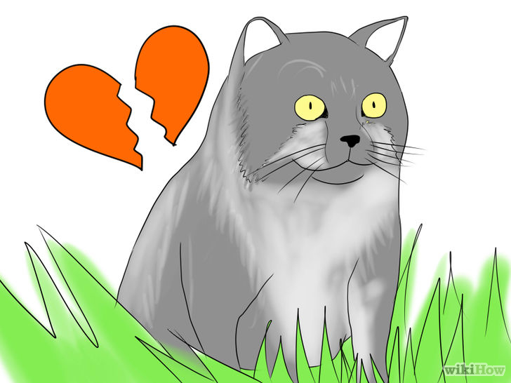 Image titled Avoid Letting Cats Ruin Your Love Life Step 1