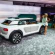 image Citroen-Cactus-0488.jpg