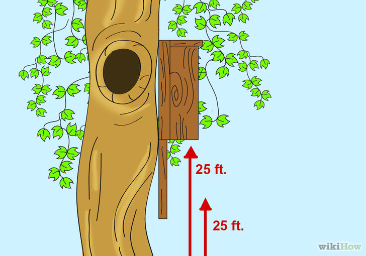 Image titled Attract Bats to your Garden Step 3