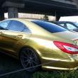image CLS-Goud-03.jpg
