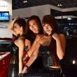 image VITT-babes-15.jpg