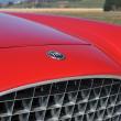 image Fiat-8V-cabriolet-Villa-d-Este-2015-005.jpg