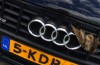 Good news: we drive more animals to death!