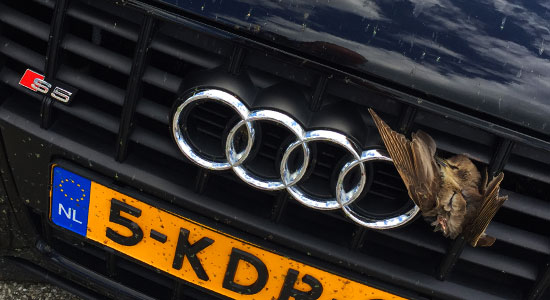 Vogelhapper S5