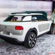 image Citroen-Cactus-0490.jpg
