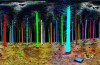 Dies Ist, Was Sie Sehen, Wenn Sie eine Prüfung eines Waldes Mit Laser