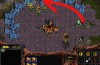 How to 4 Pool in StarCraft: 9 Steps (with Pictures)