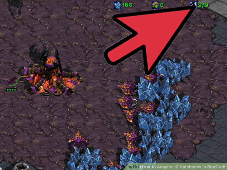 Image titled Acquire 12 Hatcheries in StarCraft Step 3