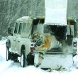 image Land_Rover_Defender_1983-2012_17.jpg