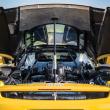 image Ferrari-Enzo-Villa-d-Este-026.jpg