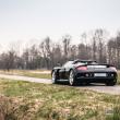 image Porsche-Carrera-GT-9009.jpg
