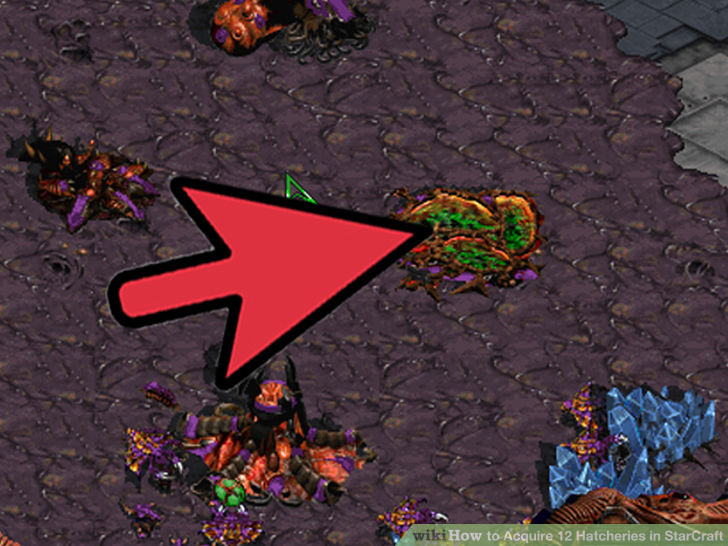 Image titled Acquire 12 Hatcheries in StarCraft Step 6