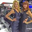 image babes-detroit-autoshow-2014-010.jpg