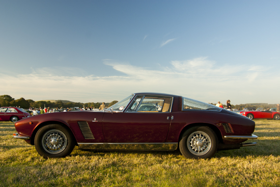 Iso Grifo - Foto: Jim Appelmelk