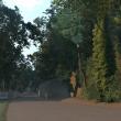 image Gran-Turismo-6-Goodwood-17.jpg