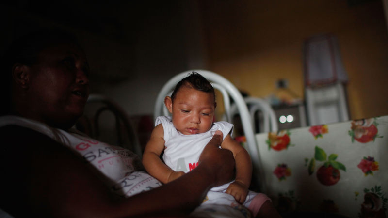 We've Found the Most Compelling Evidence Yet That Links Zika to Birth Defects