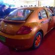 image vidoev-beetle-kloon-002.jpg