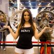 image EVS-Babes-Houston-24.jpg