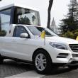 image Mercedes-M-Klasse-Pausmobiel-03.jpg