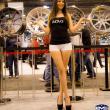 image EVS-Babes-Houston-23.jpg