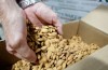 Façon d’Aller tout le monde, Nous avons Ruiné Amandes