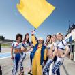 image Paul-Ricard-WTCC-05.jpg