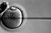 Britse Onderzoekers Goedkeuring te Krijgen om het Genetisch Wijzigen van Menselijke Embryo ‘ s