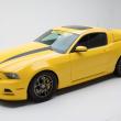 image ford-mustang-yellow-jacket-002.jpg