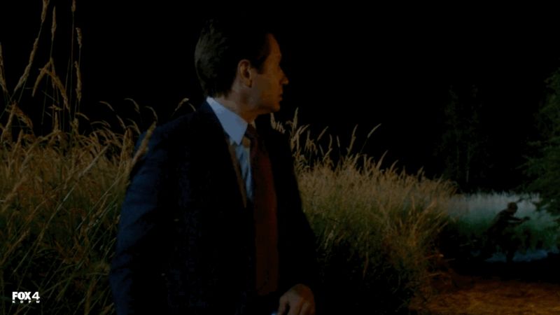 Some Lessons in Smartphone Photography, Courtesy of the X-Files