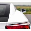 image Lexus-LFA-Van-Dorst-49.jpg