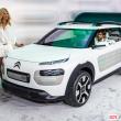 image Citroen-Cactus-0480.jpg