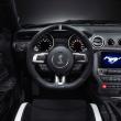 image ford-shelby-gt350r-mustang-008.jpg