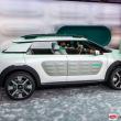 image Citroen-Cactus-0487.jpg
